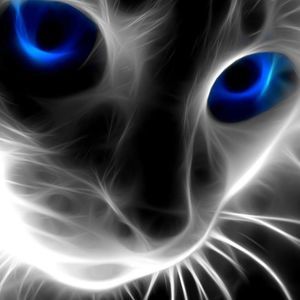 Meet your Posher, Latoya